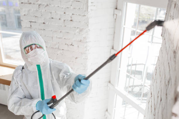 Professional Mold Removal in Sudden Valley, WA