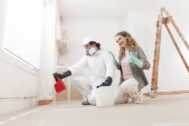 Best Mold Damage Restoration  in Sudden Valley, WA